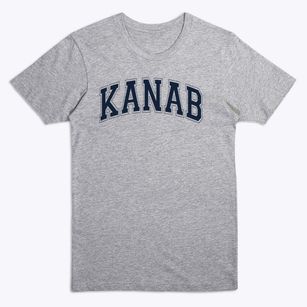 Kanab Elementary School Varsity Arch Premium T-Shirt