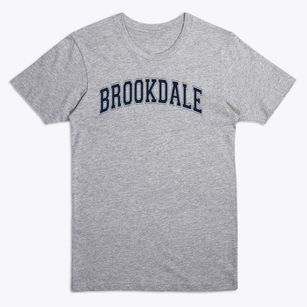 Brookdale Elementary School Varsity Arch Premium T-Shirt