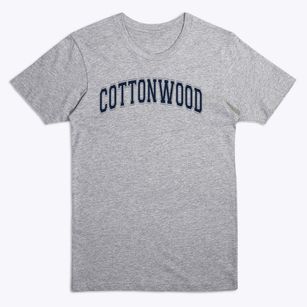 Cottonwood Elementary School Varsity Arch Premium T-Shirt