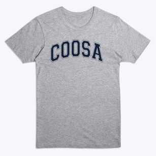 Coosa Christian School Varsity Arch Premium T-Shirt