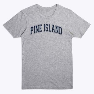 Pine Island Elementary School Varsity Arch Premium T-Shirt