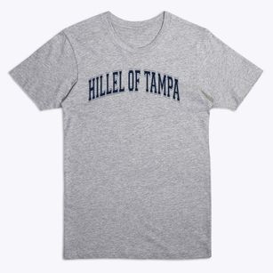 Hillel School Of Tampa Varsity Arch Premium T-Shirt