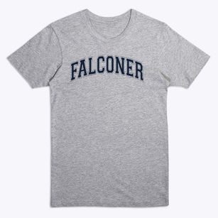 Falconer Elementary School Varsity Arch Premium T-Shirt