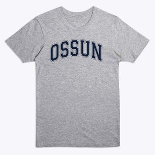 Ossun Elementary School Varsity Arch Premium T-Shirt
