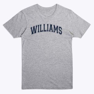 Williams Elementary School Varsity Arch Premium T-Shirt