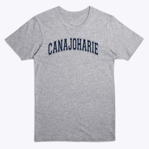 Canajoharie High School Redskins Varsity Arch Premium T-Shirt