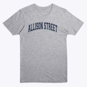 Allison Street Elementary School Varsity Arch Premium T-Shirt