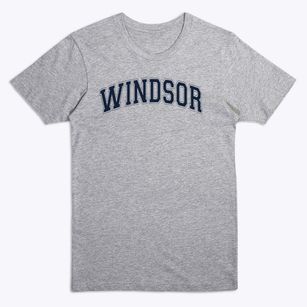 Windsor Elementary School Varsity Arch Premium T-Shirt