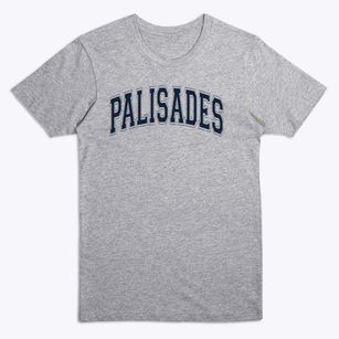 Palisades Elementary School Varsity Arch Premium T-Shirt