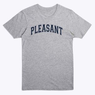 Pleasant View Sda School Varsity Arch Premium T-Shirt