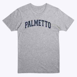 Palmetto Elementary School Varsity Arch Premium T-Shirt