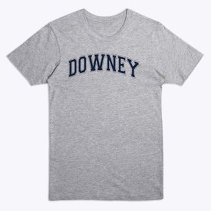 Downey Elementary School Varsity Arch Premium T-Shirt