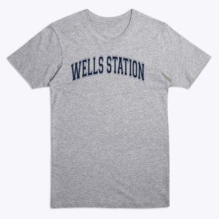 Wells Station Elementary School Varsity Arch Premium T-Shirt