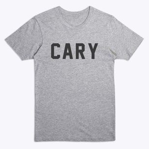 Cary Illinois Classic Block Premium T-Shirt