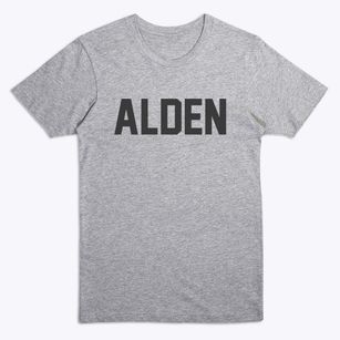 Alden Michigan Classic Block Premium T-Shirt