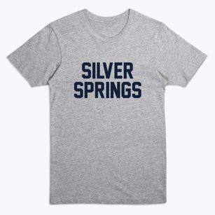 Silver Springs New York Classic Block Premium T-Shirt