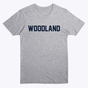 Woodland Illinois Classic Block Premium T-Shirt