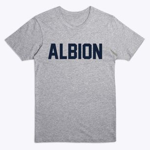 Albion Michigan Classic Block Premium T-Shirt