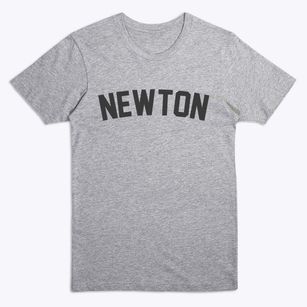 Newton New Hampshire Classic Curve Premium T-Shirt