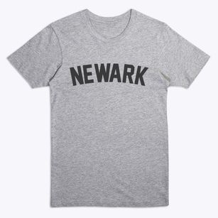 Newark Delaware Classic Curve Premium T-Shirt