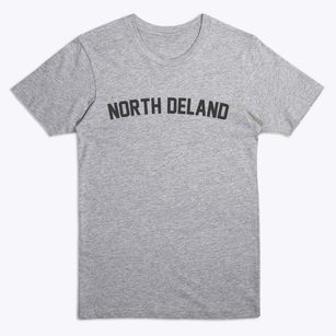 North Deland Florida Classic Curve Premium T-Shirt