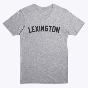 Lexington Georgia Classic Curve Premium T-Shirt