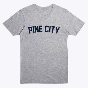 Pine City Minnesota Classic Curve Premium T-Shirt