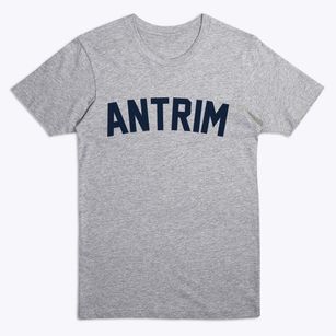 Antrim New Hampshire Classic Curve Premium T-Shirt