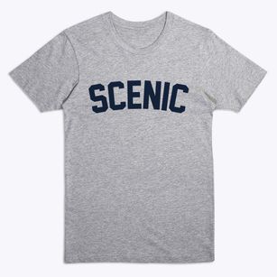 Scenic Arizona Classic Curve Premium T-Shirt