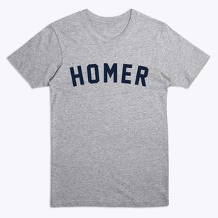 Homer Illinois Classic Curve Premium T-Shirt