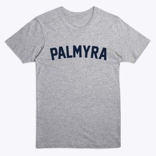 Palmyra Nebraska Classic Curve Premium T-Shirt