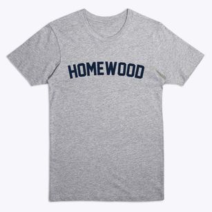 Homewood Illinois Classic Curve Premium T-Shirt