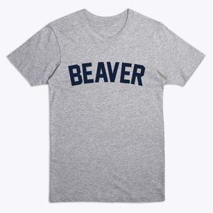 Beaver Ohio Classic Curve Premium T-Shirt
