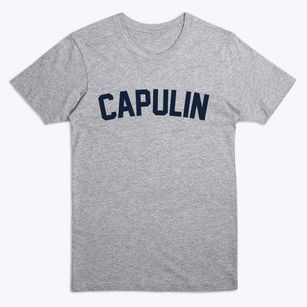 Capulin New Mexico Classic Curve Premium T-Shirt