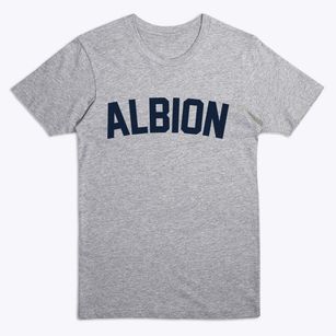 Albion Michigan Classic Curve Premium T-Shirt