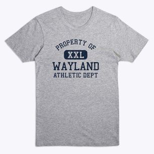 Wayland Michigan Athletic Dept Premium T-Shirt