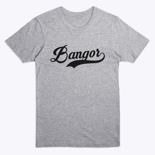 Bangor New York Vintage Team Premium T-Shirt