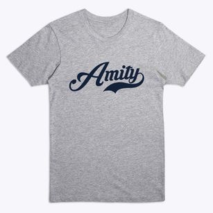 Amity Missouri Vintage Team Premium T-Shirt