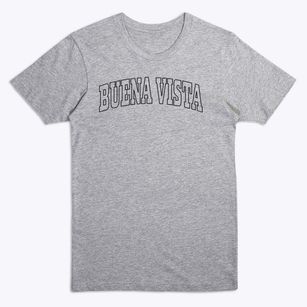 Buena Vista Texas Trendy Block Premium T-Shirt