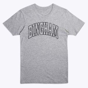 Bingham Illinois Trendy Block Premium T-Shirt