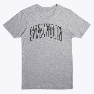 Swanton Maryland Trendy Block Premium T-Shirt