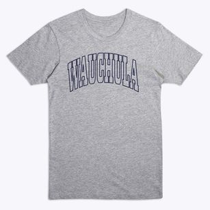 Wauchula Florida Trendy Block Premium T-Shirt