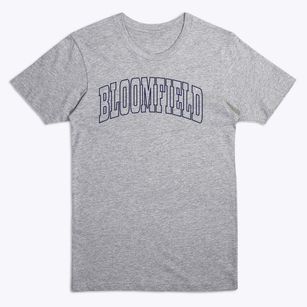 Bloomfield New York Trendy Block Premium T-Shirt