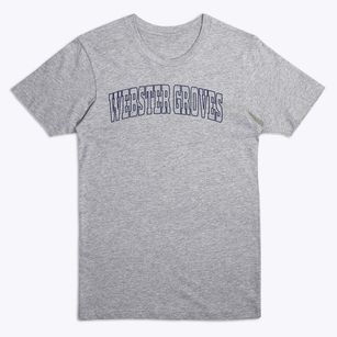 Webster Groves Missouri Trendy Block Premium T-Shirt