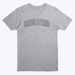 Green Spring Kentucky Trendy Block Premium T-Shirt