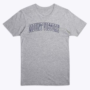 Mount Victory Ohio Trendy Block Premium T-Shirt