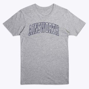 Ainsworth Wisconsin Trendy Block Premium T-Shirt