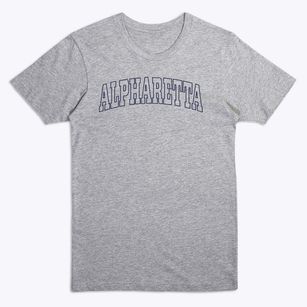 Alpharetta Georgia Trendy Block Premium T-Shirt