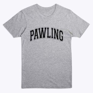 Pawling New York Varsity Premium T-Shirt