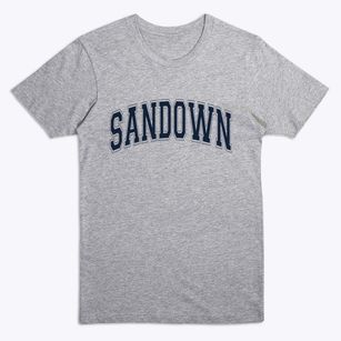 Sandown New Hampshire Varsity Premium T-Shirt